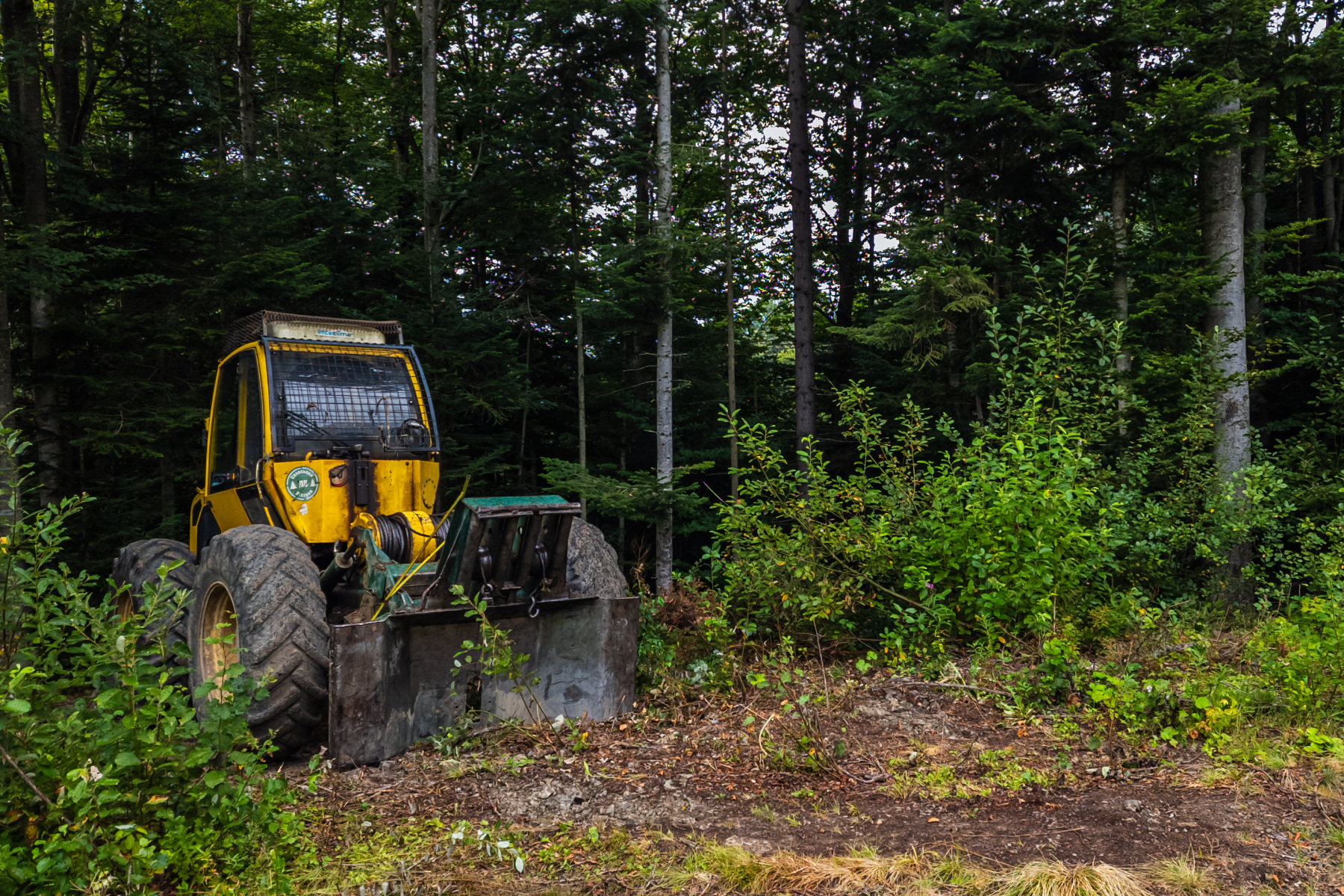 land clearing / brush removal services