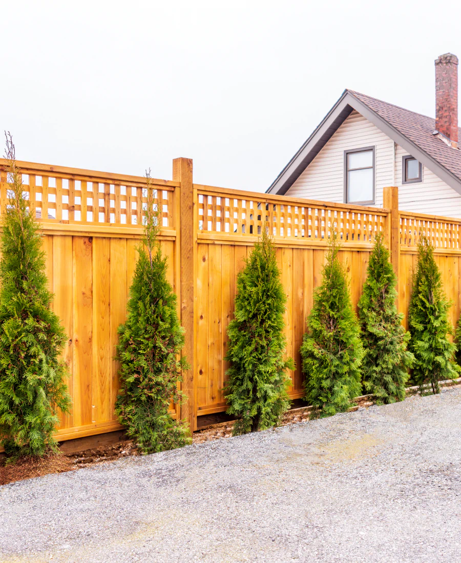 wood fence staining & sealing (1)